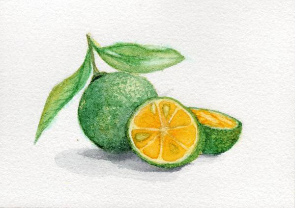 Calamansi (2026) by Eula