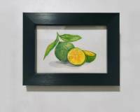 Calamansi (2026) Framed