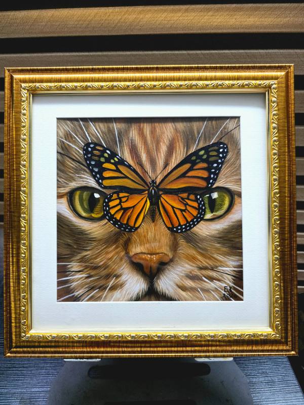 Whisker and Wings III
