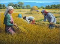 Harvest — Detail