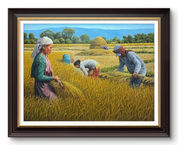Harvest